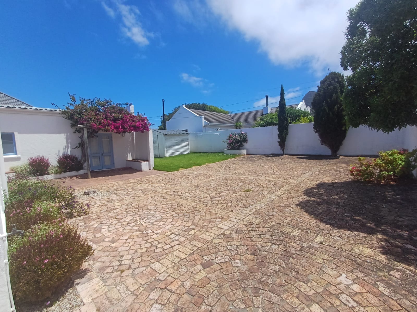 Holiday Vibe thumbnail 9