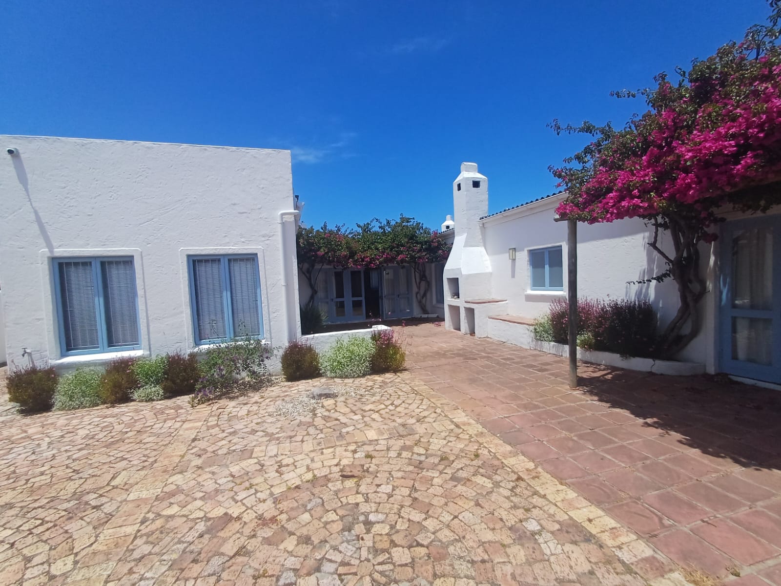 Holiday Vibe thumbnail 6