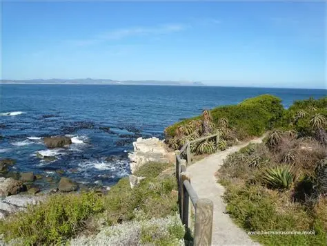 Hermanus Cliff Path walkway with ocean views