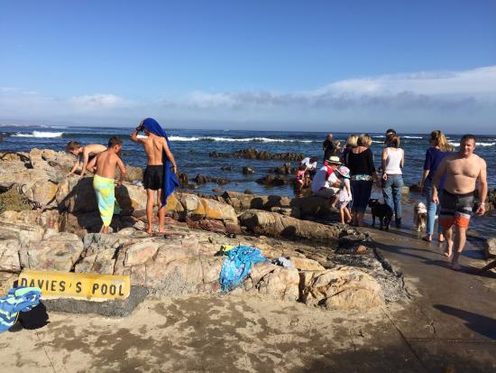 Davies' Tidal Pool at sunset