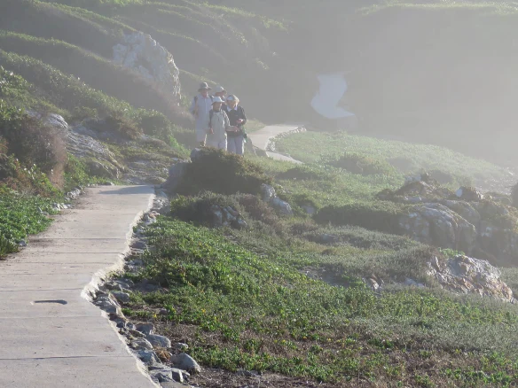 Vermont-Onrus-Sandbaai Coastal Path boardwalk